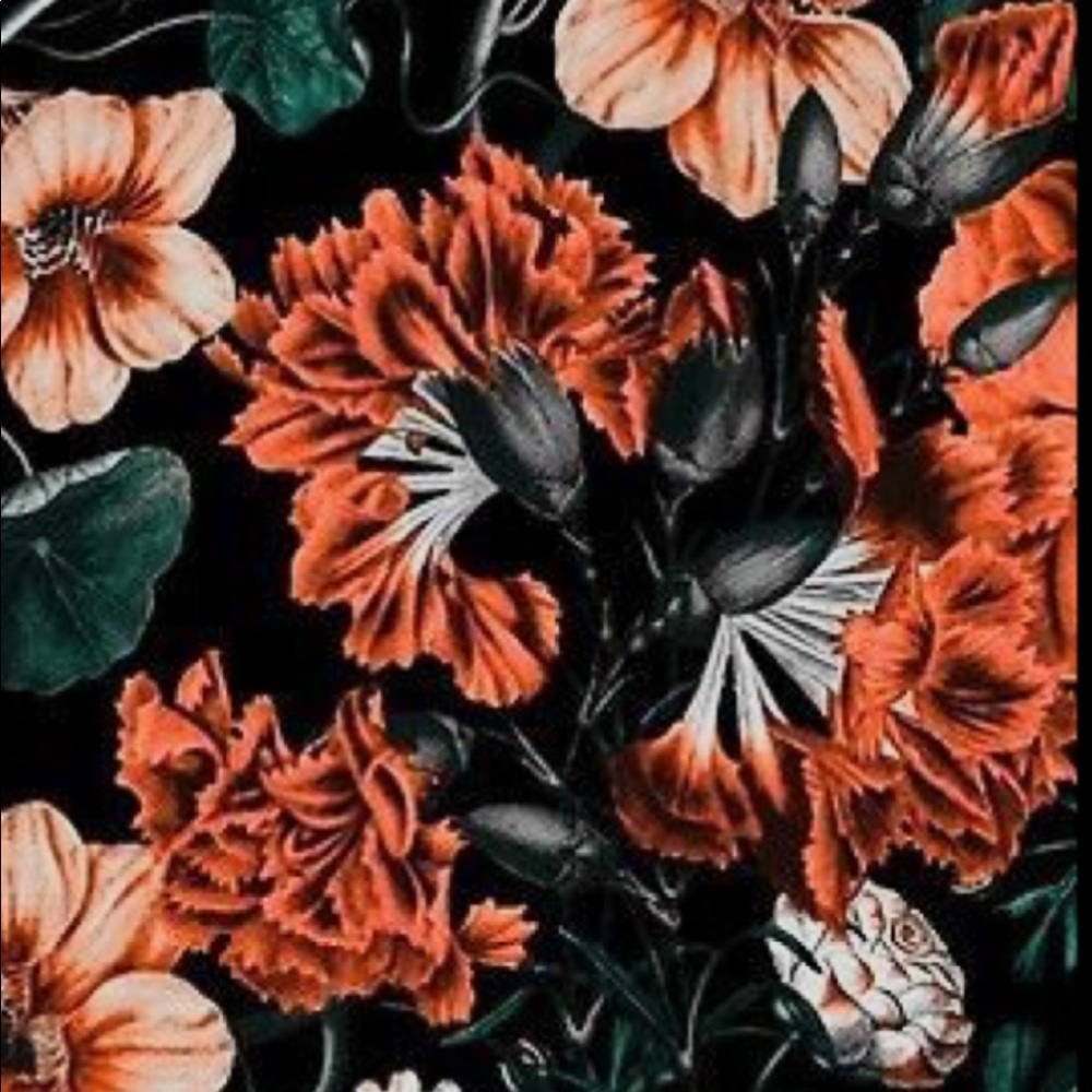 Meet your Posher, Malaina